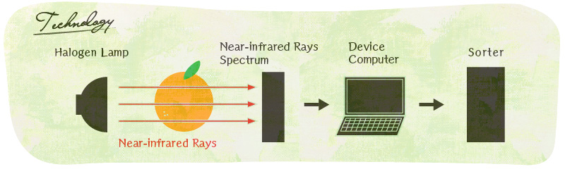 The Near-infrared Rays Sensorのしくみ