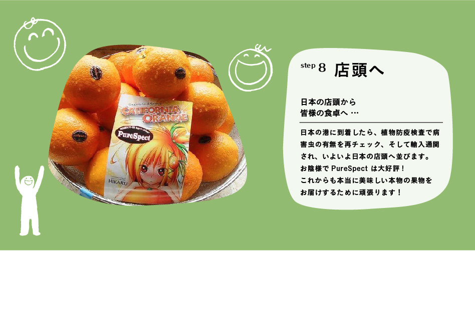 step8 店頭へ「日本の店頭から皆様の食卓へ …」日本の港に到着したら、植物防疫検査で病害虫の有無を再チェック、そして輸入通関を通り、いよいよ日本の店頭へ並びます。 お陰様でPureSpectは大好評!　これからも本当に美味しい本物の果物をお届けするために頑張ります！